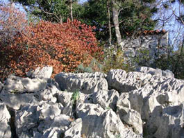 Paesaggio carsico in autunno