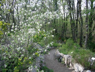 Uno scorcio di Carsiana