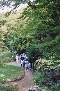 Carsiana: un sentiero nel giardino