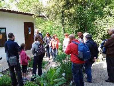 Carsiana: una visita guidata