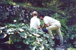 Visitatori nel giardino